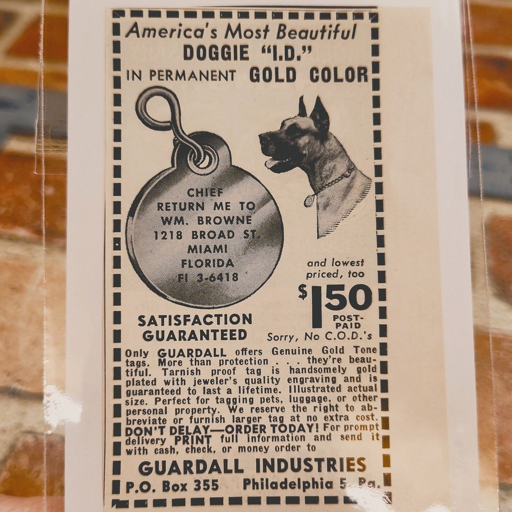 1956 Guardall Industries Doggie ID‎ Great Dane - Orig Vtg Print Ad Greyscale